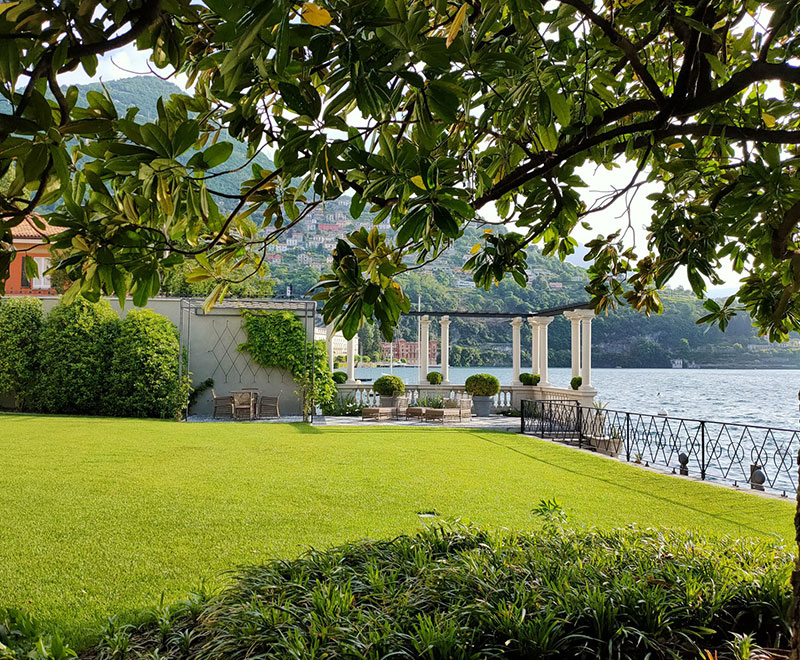Valerio Cozzi -Giardino Villa Allamel magnolia e prato Valerio Cozzi -Giardino Villa Allamel magnolia e prato