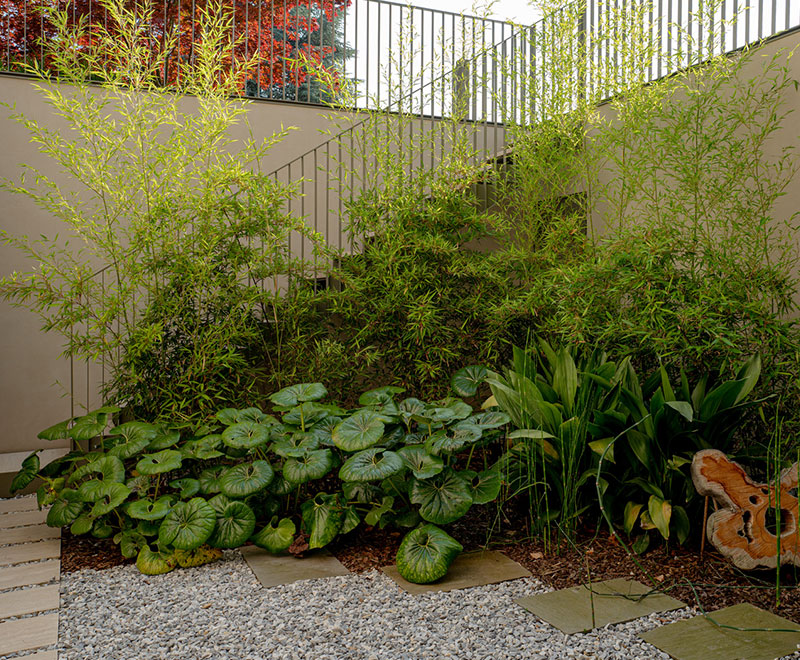 Valerio Cozzi - View garden giardino privato Valerio Cozzi - View garden giardino privato
